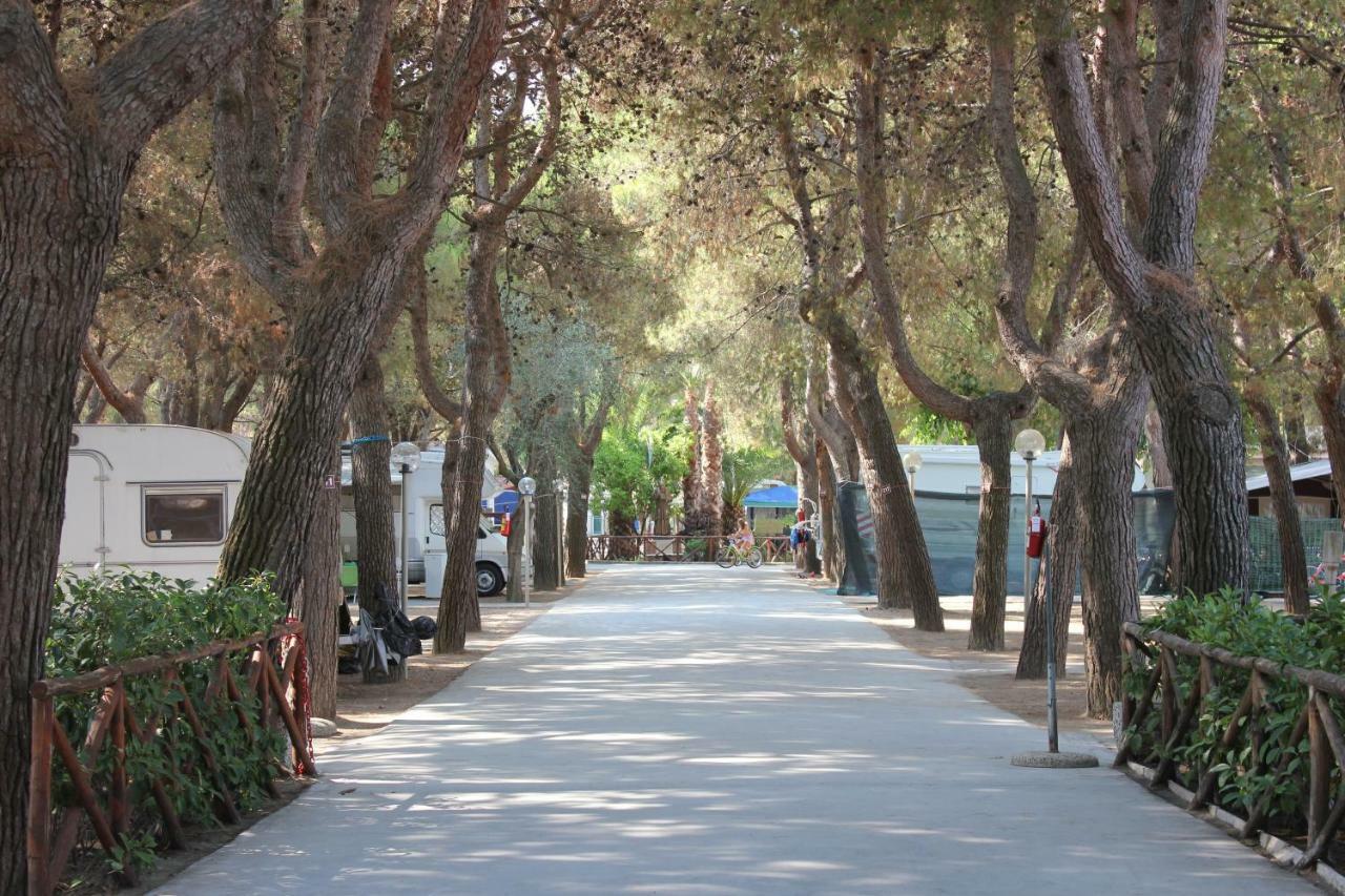 Residence Village Lido Del Gargano 罗迪-加尔加尼科 外观 照片